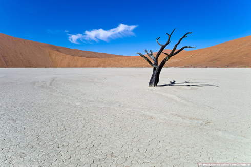 Мертвая долина в пустыне Намиб 